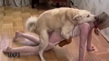 A shaggy white canine aggressively bangs a blonde animal enthusiast from the rear