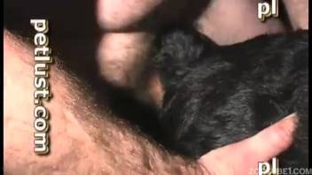 Ebony canine is being sodomized in the rear by a deviant man obsessed with bestiality