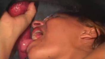 Brunette Doberman penetrated my slim spouse at nighttime
