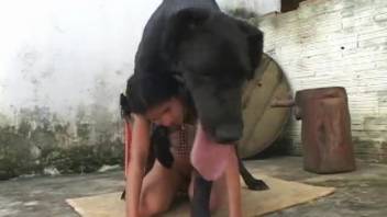 Stunning dark-haired woman with massive breasts has sex with a large dog