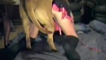 Moist vagina spouse whores it out for her doggy paramour
