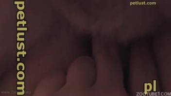 Adorable pooch and chubby master in thrilling animal-human erotic encounter