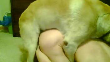 Intense butt-to-butt fucking scene with my adorable pup