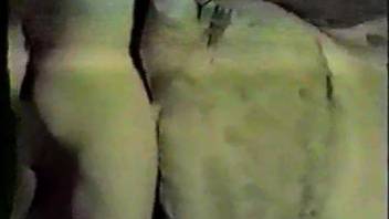 Classic guy and equine pornography