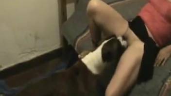 Ebony monster brutally skewered passionate animal-fucking whore under the cover of darkness