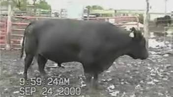 Stud captured on camera with his massive erection stiff