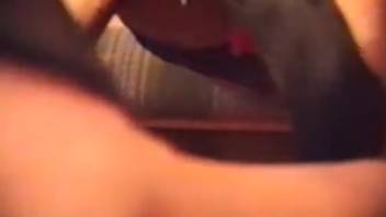 Brunette babe with curvy ass gets screwed by massive ebony canine