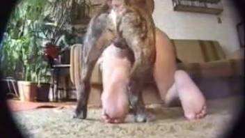 Bushy mature woman lets the canine destroy her vagina and rear end
