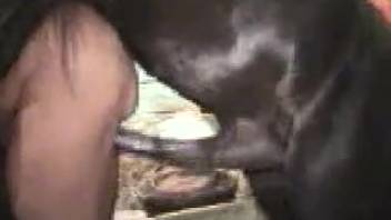 Stallion deeply thrusts into guy's rear on webcam