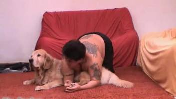 Overweight tattooed animal enthusiast with a pair of well-trained dogs in a taboo threesome encounter