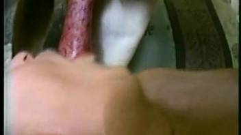 Voluptuous woman drenches her mouth in canine semen