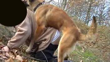 Guy gets fucked by his dog in a deserted spot