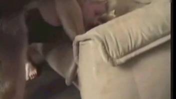 Alluring lady experiences intimacy with a canine for her debut