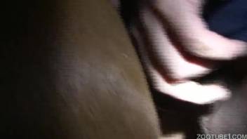 Adorable novice zoophilia sex scene featuring an incredible skilled beast