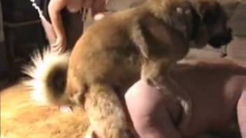 Overweight man controlled by his experienced wife and the dog