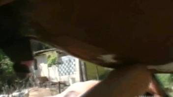 Hot stallion pounding a Latin babe's cunt in a steamy adult clip