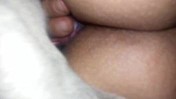 Moist bestiality-loving cunt pounded by an aroused canine