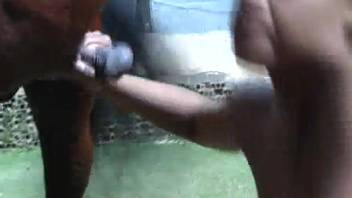 Dark-haired woman with real breasts enjoys intense sex