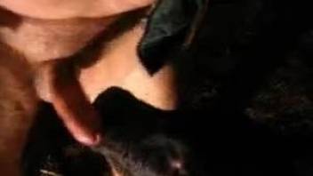 Sucking dog dick