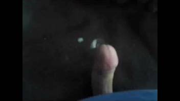 Guy ejaculates in first-person view while messing around with his dog