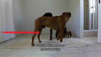 Naked webcam adult video featuring a sexy black woman and a dog