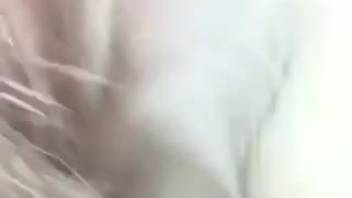 Guy delving into a hot beast's moist tiny opening