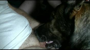 Guy broadcasts private masturbation alone time involving the dog
