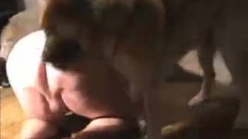 Curvy mature woman commands a dog to screw her obedient husband