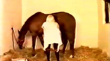 Rural woman with a steamy vagina gets pounded by a horse