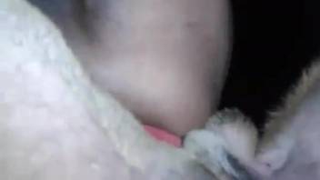 Round-bottomed animal-fucker guy gets his ass demolished by a creature