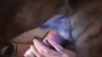 Awesome hardcore flick packed with tons of adorable newbie babes