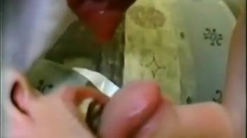 Dark-haired woman being deepthroated by an extremely attractive pup