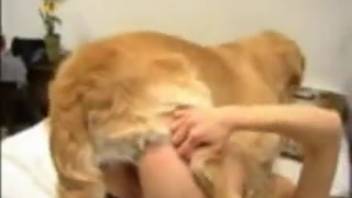 Erotic encounter in black stockings on legs, taken by personal dog