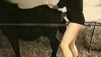 Lively booty chick being banged by a well-endowed stallion