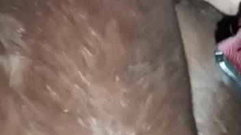 Guy deeply penetrates mare's rear end under the cover of midnight