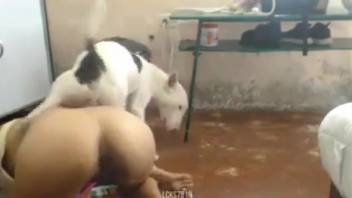 Hispanic hottie being pounded deeply by a lustful monster