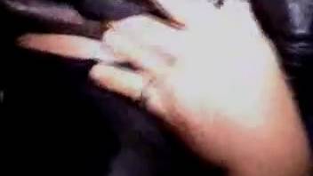 Curvy vixen sucks off a well-endowed horse before getting railed by a pony
