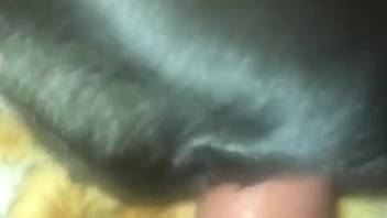 Ebony beast skewered on a guy's rigid cock in first-person view