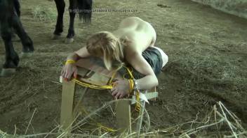 Sexy blonde babe with a killer figure getting pounded by a stallion