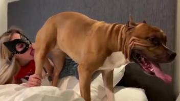 Sexy blonde babe getting screwed by a dog