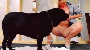 Attractive blonde undresses on webcam to passionately kiss her black dog