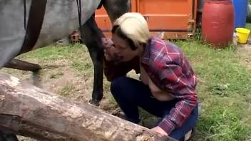 Chubby-cheeked slut adores a stallion's rigid dick