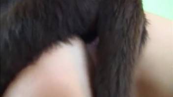 Horny woman groans loudly with lots of canine cock stuffed in her smooth pussy