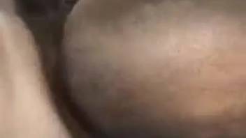 Guy thrusts his hard dick directly into a mare's pussy