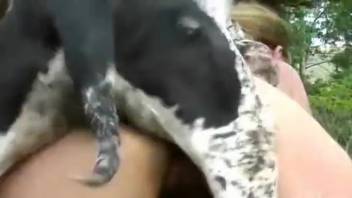 Dog is pounding that snug cunt from the rear