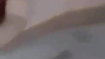 Steamy sex with the sexiest animal-loving MILF