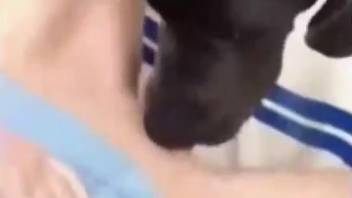Chick in denim skirt getting pounded by an ebony brute