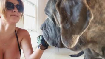 Cool sunglasses chick getting deepthroated by a hot pup