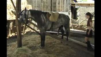 Slim teen 18+ babe screws a dappled pony in rear-entry position