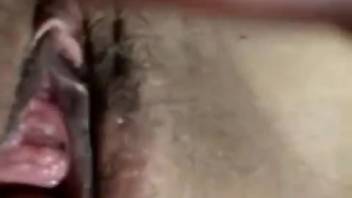 Noisy pleasure for a bare woman in intense bestiality footage